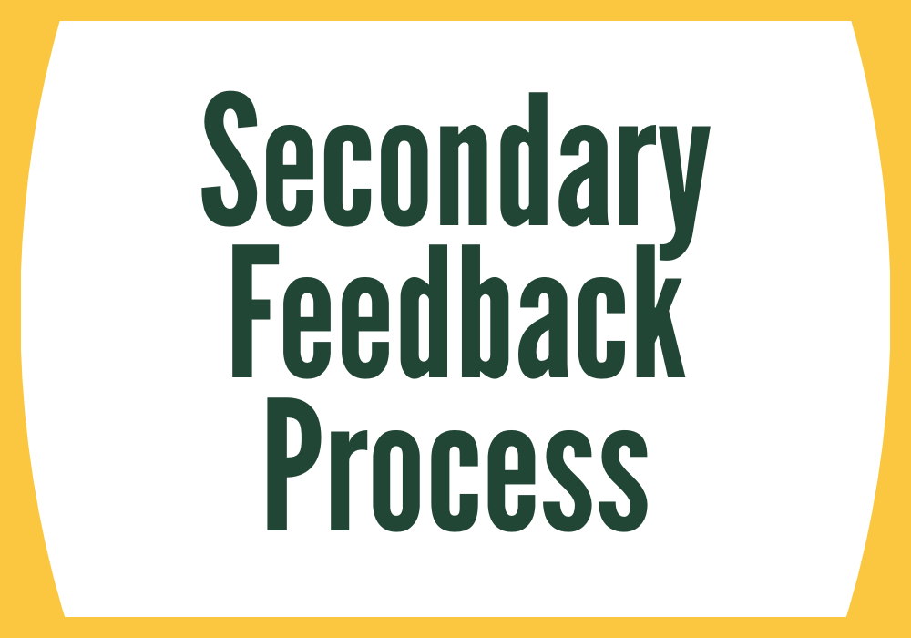 Secondary Feedback Process