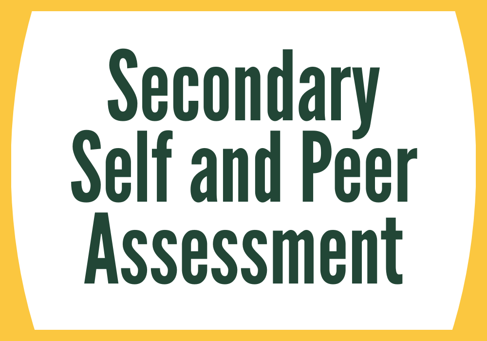 Secondary Self and Peer Assessment