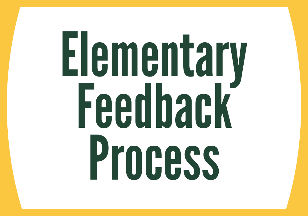 Elementary Feedback Process